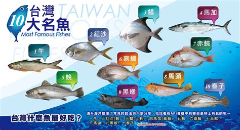 魚 排名|台灣好魚排行榜